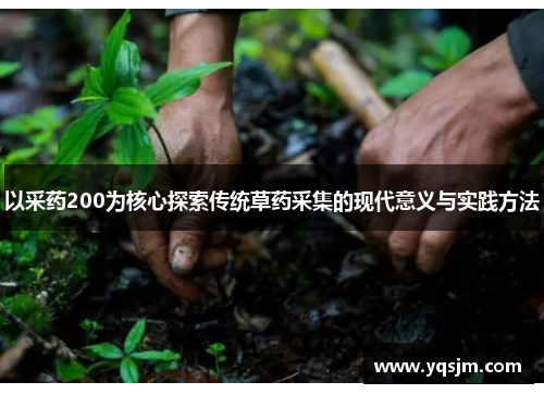 以采药200为核心探索传统草药采集的现代意义与实践方法